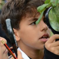 10s Kew Trip 2025