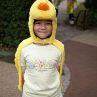 hello yellow October 2025