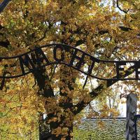 Berlin Krakow trip October 2025 pupil photo