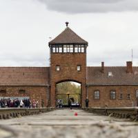 Berlin Krakow trip October 2025 pupil photo