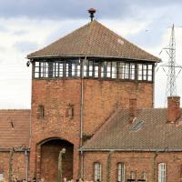 Berlin Krakow trip October 2025 pupil photo