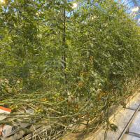 Iceland Trip October 2025