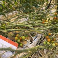 Iceland Trip October 2025