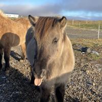 Iceland Trip October 2025