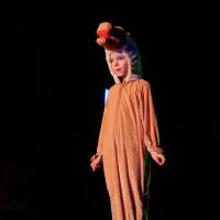 A Fairytale Christmas 2025