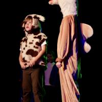 A Fairytale Christmas 2025