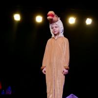 A Fairytale Christmas 2025