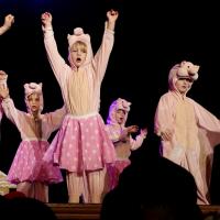 A Fairytale Christmas 2025