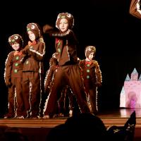 A Fairytale Christmas 2025