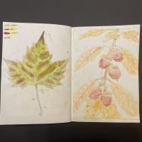 10s artwork autumn term 2025