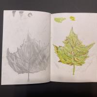 10s artwork autumn term 2025