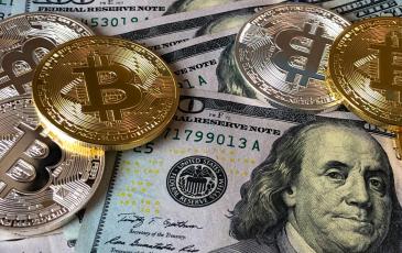 Bitcoin and dollars