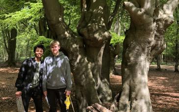 boys in forest