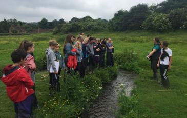 River Tillingbourne  Meander
