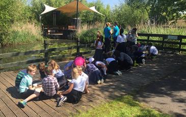 wetlands trip