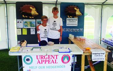 Battersby boys Hedgehog appeal
