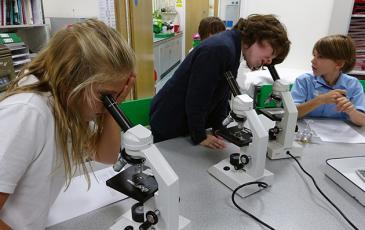 lower Prep science pic