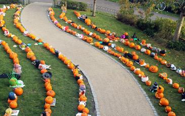 Pumpkin carving competition