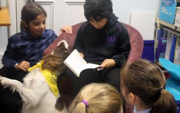 Reading to Dogs