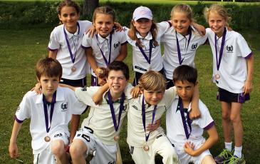 Cricket pic