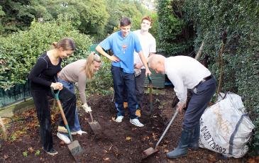 Allotment news